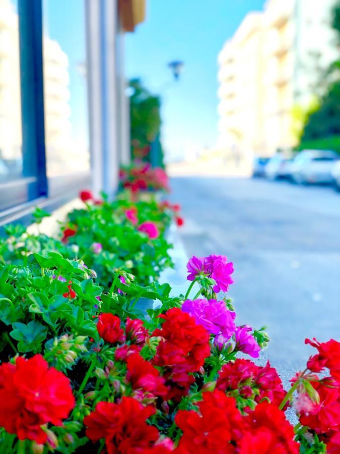 Hotel Caravel B&B 미사노아드리아티코 외부 사진