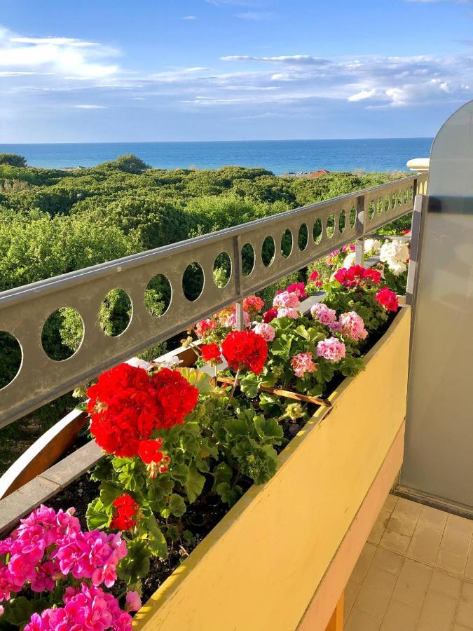Hotel Caravel B&B 미사노아드리아티코 외부 사진